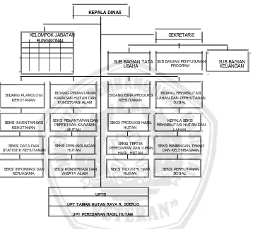 Gambar 4.1 : Struktur Organisasi Dinas Kehutanan Provinsi Jawa Timur 