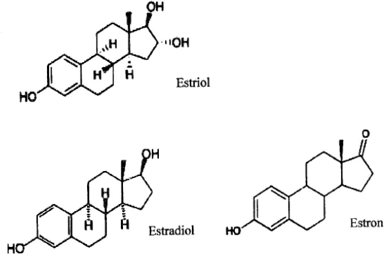 Gambar 2.3 Struktur kimia estrogen (Sumber: Guyton, 1995). 