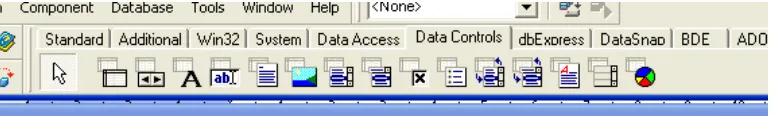Gambar 2.10 Komponen Data Access 