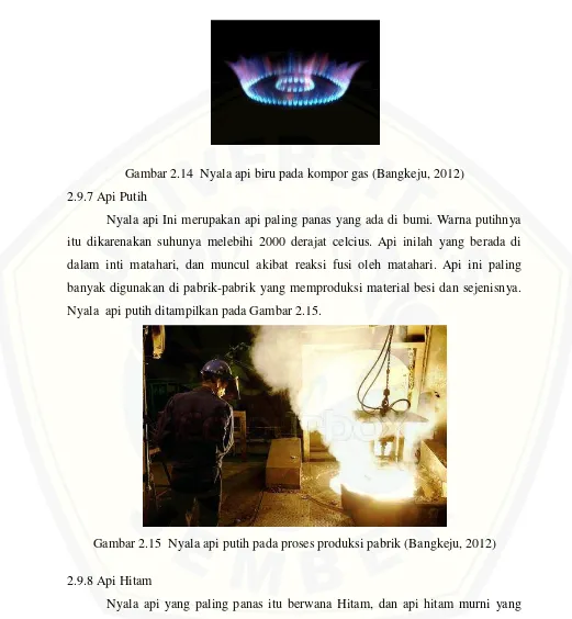 Gambar 2.14  Nyala api biru pada kompor gas (Bangkeju, 2012) 