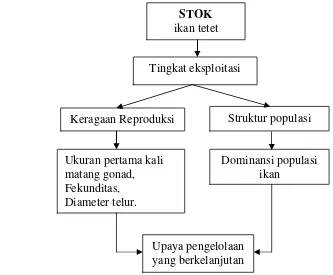 Gambar 1. Skema perumusan masalah 