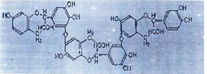 Gambar 2.5 Struktur kimia flavonoid (Winarno,1992:180) 