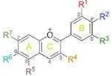 Gambar 2.9 Struktur kimia antosianin (Sumber : Anonim, 2011:1) 