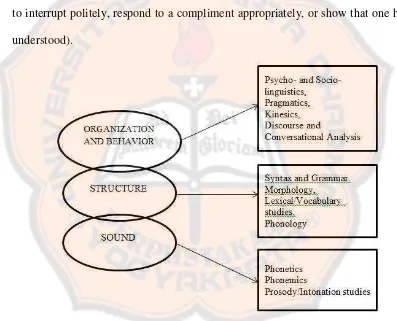 Figure 2.2: Levels and fields of research into speech and conversation (Hughes, 2002)  