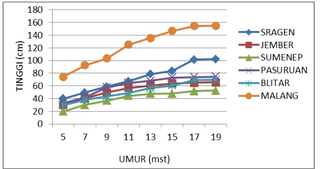 Gambar 1. Grafik Laju Pertumbuhan Enam Klon Unggul Temulawak (Curcuma xanthorrhiza) Hingga Umur 19 MST 