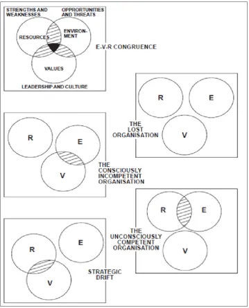 Gambar 2. EVR Analysis (Sumber: Thompson)