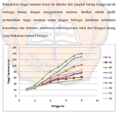 Grafik 4.1 Rerata pertambahan tinggi tanaman tomat pada perlakuan perbedaan konsentrasi dan frekuensi pemberian mikroorganisme lokal dari bonggol pisang