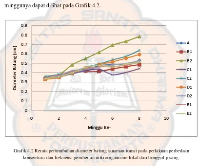 Grafik 4.2 Rerata pertumbuhan diameter batang tanaman tomat pada perlakuan perbedaan 
