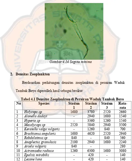 Tabel 4.1 Densitas Zooplankton di Perairan Waduk Tambak Boyo 