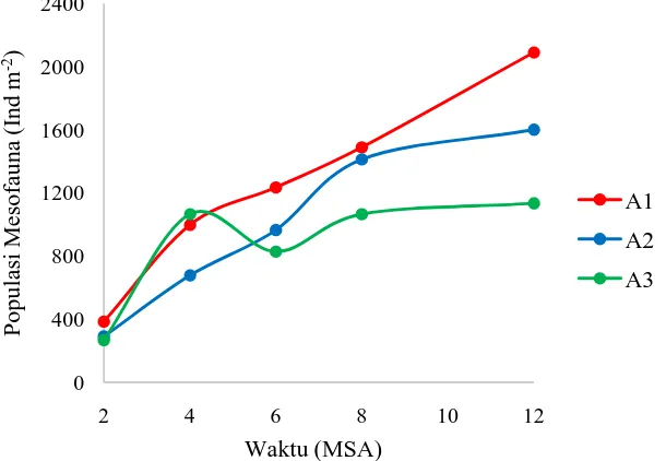 Grafik 2. Dinamika populasi mesofauna tanah akibat pemberian jenis bahan organik yang  telah diamati selama 12 minggu  