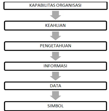 Gambar 1. Hierarki Pengetahuan Liebowitz & Backman (Munir, 2008)