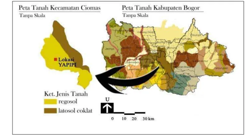 Gambar 11  Peta jenis tanah Kecamatan Ciomas. 