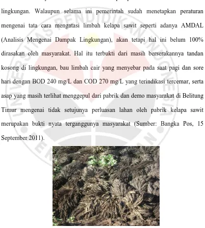 Gambar 1.2 Limbah Tandan Kosong Kelapa Sawit di Bangka Belitung 