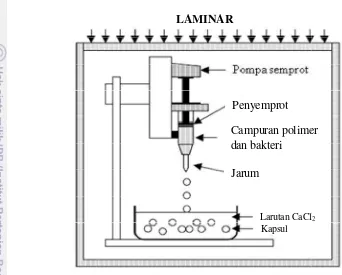Gambar 1 Perangkat pet pembuatan kapsul sintetik pupuk hayati (Ivanonova et al. 2005).