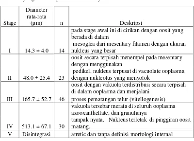 Tabel 1.   Ukuran diameter oosit pada setiap tahap perkembangan  S.  glaucum  yang di ambil pada Sodwana Bay 