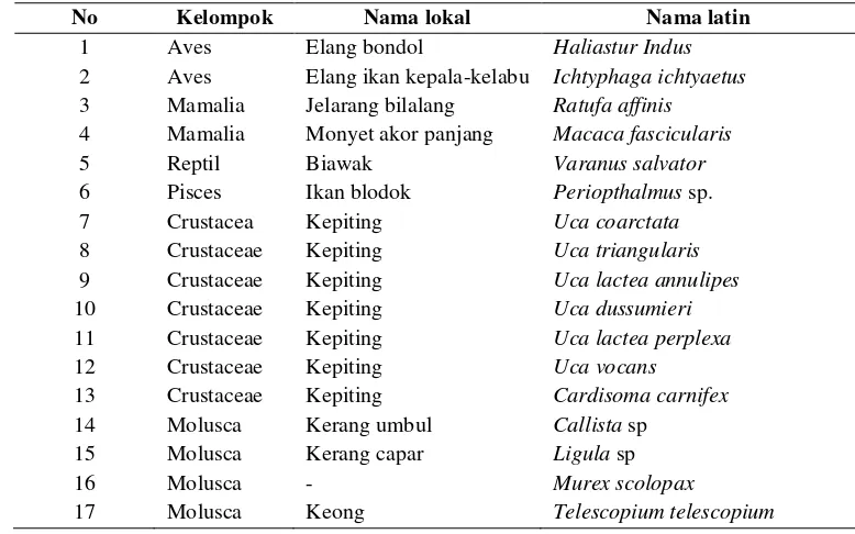 Tabel 7  Jenis fauna selain burung air 