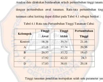 Tabel 4.1 Rata-rata Pertumbuhan Tinggi Tanaman Cabai 