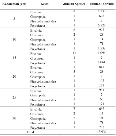 Tabel 4.5. Jumlah Individu Makrozoobentos di Pantai Baru 