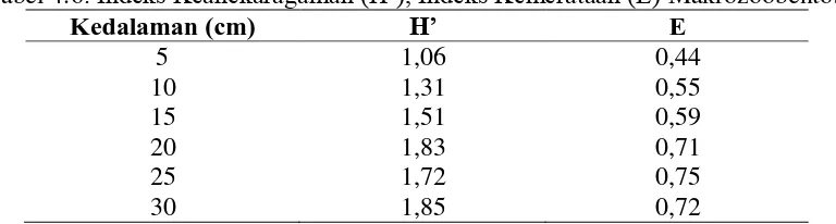 Tabel 4.6. Indeks Keanekaragaman (H’), Indeks Kemerataan (E) Makrozoobentos Kedalaman (cm)  E 