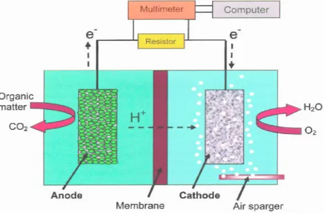 Gambar 1. Skema sistem Microfluidic Fuel Cells 