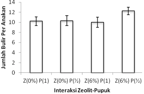 Gambar 9. Pengaruh Interaksi Pemberian Zeolit dan Pupuk NPK   terhadap Jumlah Bulir Per Anakan 