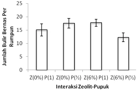 Gambar 11. Pengaruh Interaksi Pemberian Zeolit dan Pupuk NPK   terhadap Jumlah Bulir Bernas Per Rumpun 