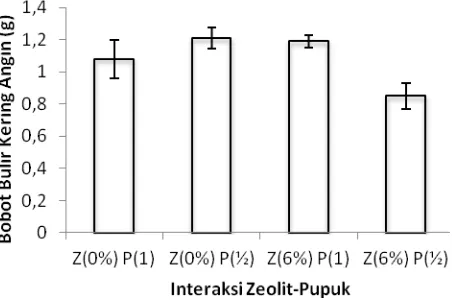 Gambar 12. Pengaruh Interaksi Pemberian Zeolit dan Pupuk NPK terhadap   Bobot Bulir Kering angin 
