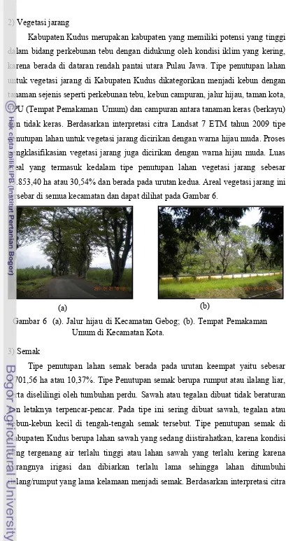 Gambar 6  (a). Jalur hijau di Kecamatan Gebog; (b). Tempat Pemakaman 