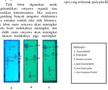 Gambar 1. Profil KLT hasil sintesis dan starting material. 