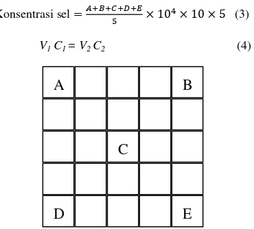 Gambar 8  Skema 96-well plates MTT assay. 