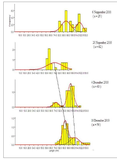 Gambar 10. Pergeseran modus frekuensi panjang ikan kuniran (Upeneus sulphureusbetina 