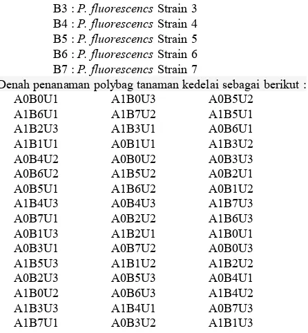 Gambar 3. Koloni P. fluorescens di bawah sinar UV