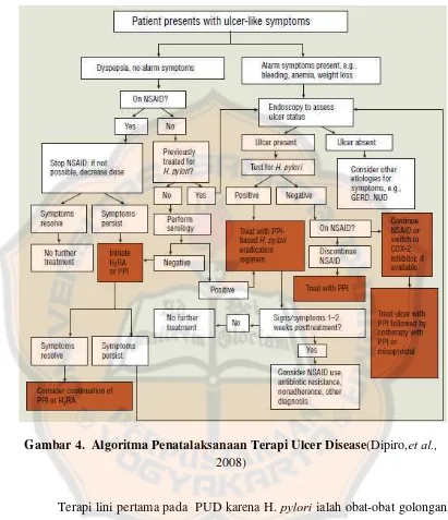 Gambar 4.  Algoritma Penatalaksanaan Terapi Ulcer Disease(Dipiro,et al., 