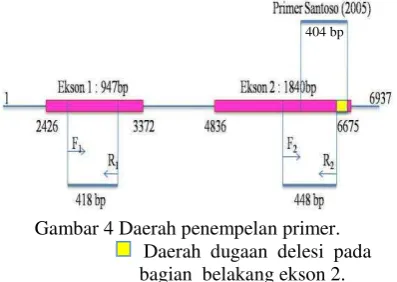 Gambar 4 Daerah penempelan primer. 