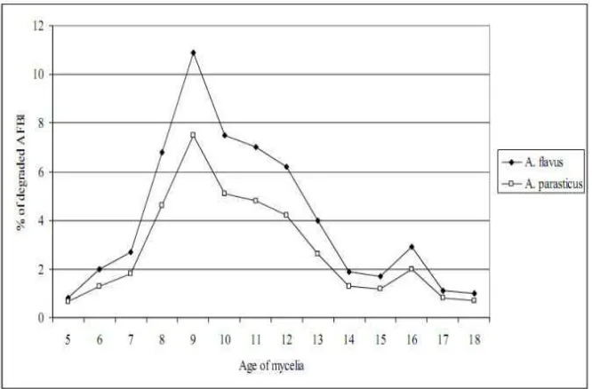 Gambar 18. Persentase aflatoksin yang mengalami biodegradasi oleh Aspergillus flavusdan Aspergillus parasiticus  yang mengalami fragmentasi miselium (Sumber: Azab et al