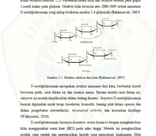 Gambar 2.2  Struktur selulosa dan kitin (Rakhmawati, 2007)