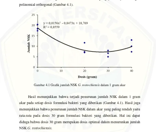 Gambar 4.1 Grafik jumlah NSK G. rostochiensis dalam 1 gram akar  