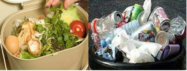 Gambar 5. Sampah Organik dan Anorganik 