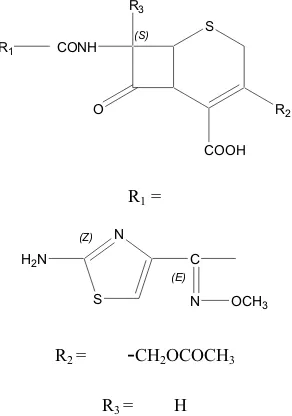 Gambar 2. Struktur Cefotaxim 