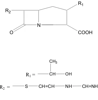 Gambar 5. Struktur Imipenem 