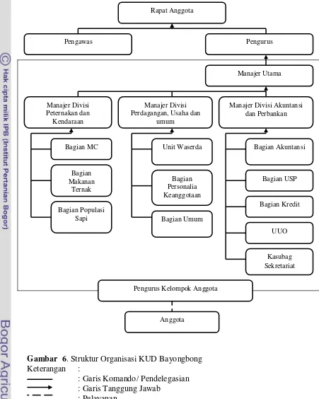 Gambar  6. Struktur Organisasi KUD Bayongbong 