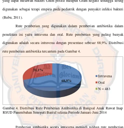 Gambar 4. Distribusi Rute Pemberian Antibiotika di Bangsal Anak Rawat Inap  RSUD Panembahan Senopati Bantul selama Periode Januari-Juni 2014 