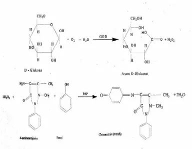 Gambar 1. Pembentukan Senyawa Berwarna Merah (Kuinonimin) pada Metode Enzimatis dengan Reagen GOD FS