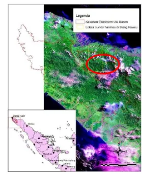 Gambar 1. Peta lokasi penelitian 