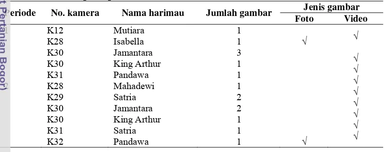Tabel 5 Hasil perolehan gambar harimau sumatera dan identifikasi individu 