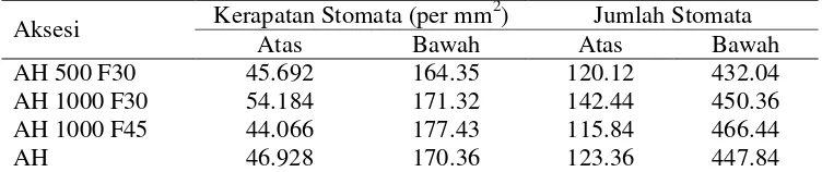 Tabel 16. Rataan Jumlah dan Kerapatan Stomata Atas dan Bawah TigaAksesi Pisang Ambon Hijau Tahan Fusarium dan Kontrol (AH)