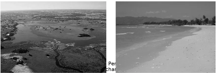 Gambar Berbagai macam bentukan hasil pengendapan. (1) Delta (2) Beach(3) Sand dunes(4) Tombolo