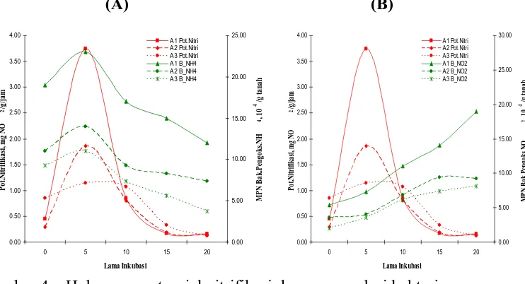 Gambar 4.   Hubungan potensial nitrifikasi dengan populasi bakteri    pengoksidasi NH4+ (A) dan bakteri pengoksidasi NO2- (B)   pada berbagai lama inkubasi (Ket.: A1: Tephrosia candida  (kualitas tinggi), A2:Kaempferia galanga (kualitas sedang), A3:Tithonia diversifolia (kualitas rendah))  