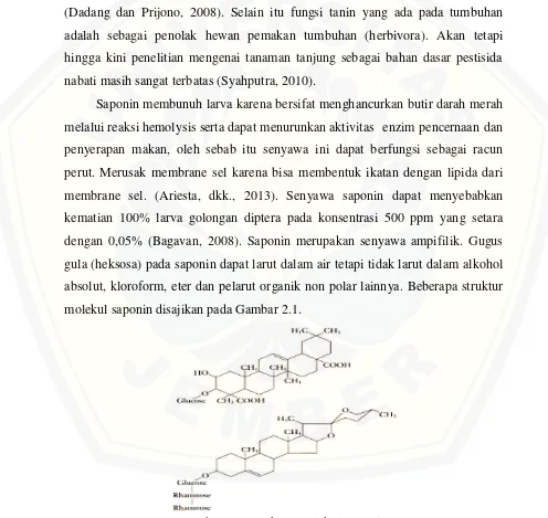 Gambar 2.1  Struktur Molekul Saponin 