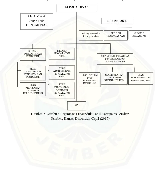 Gambar 5: Struktur Organisasi Dipsenduk Capil Kabupaten Jember. 